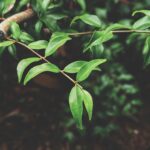 Building a modern-day communication strategy: AI, expectations and connection
