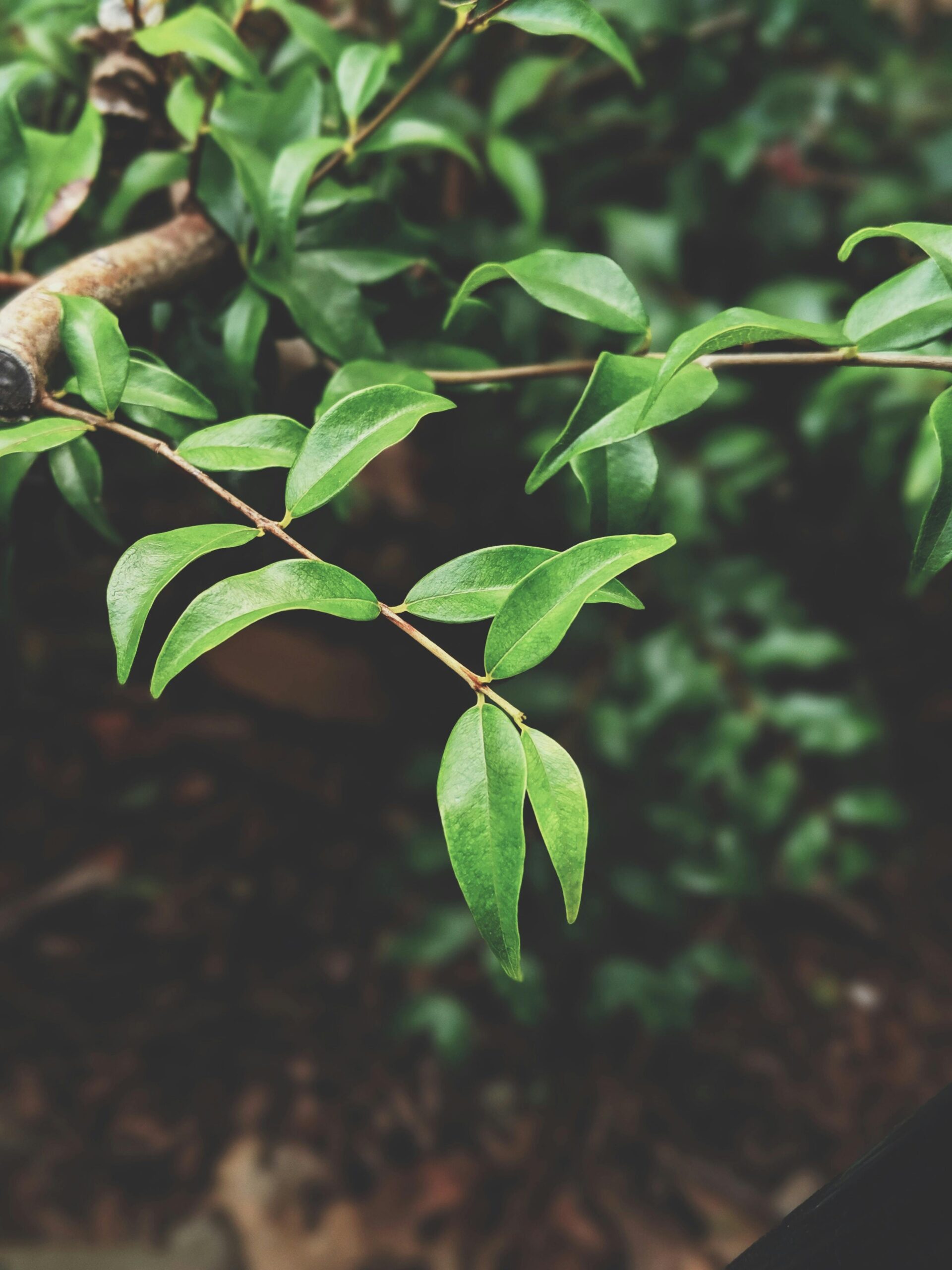 Read more about the article ESG Standards Explained: Your guide to navigating materiality