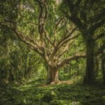 Your sustainability report is complete. Now what?