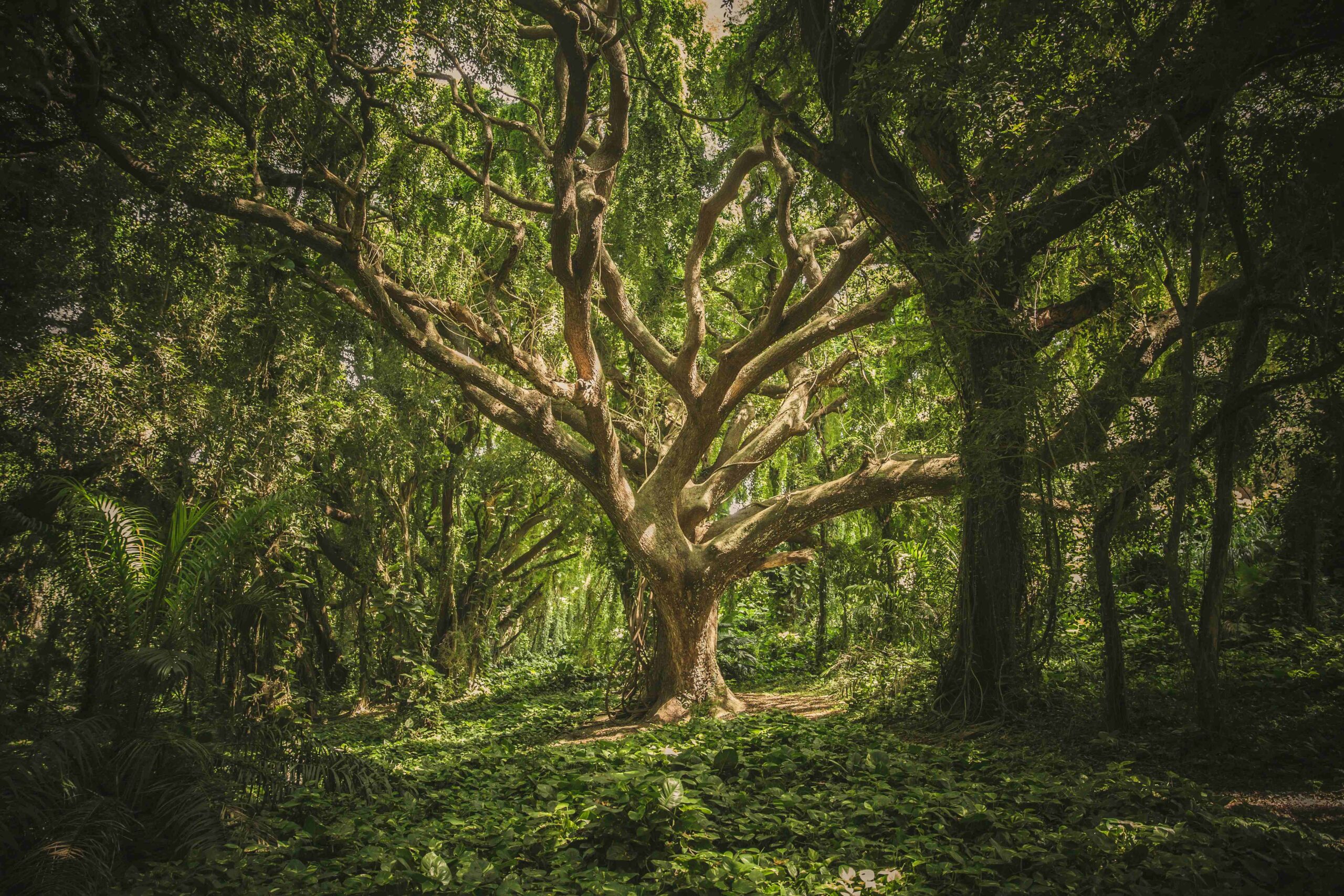 Read more about the article What makes a good sustainability report? A practical guide.
