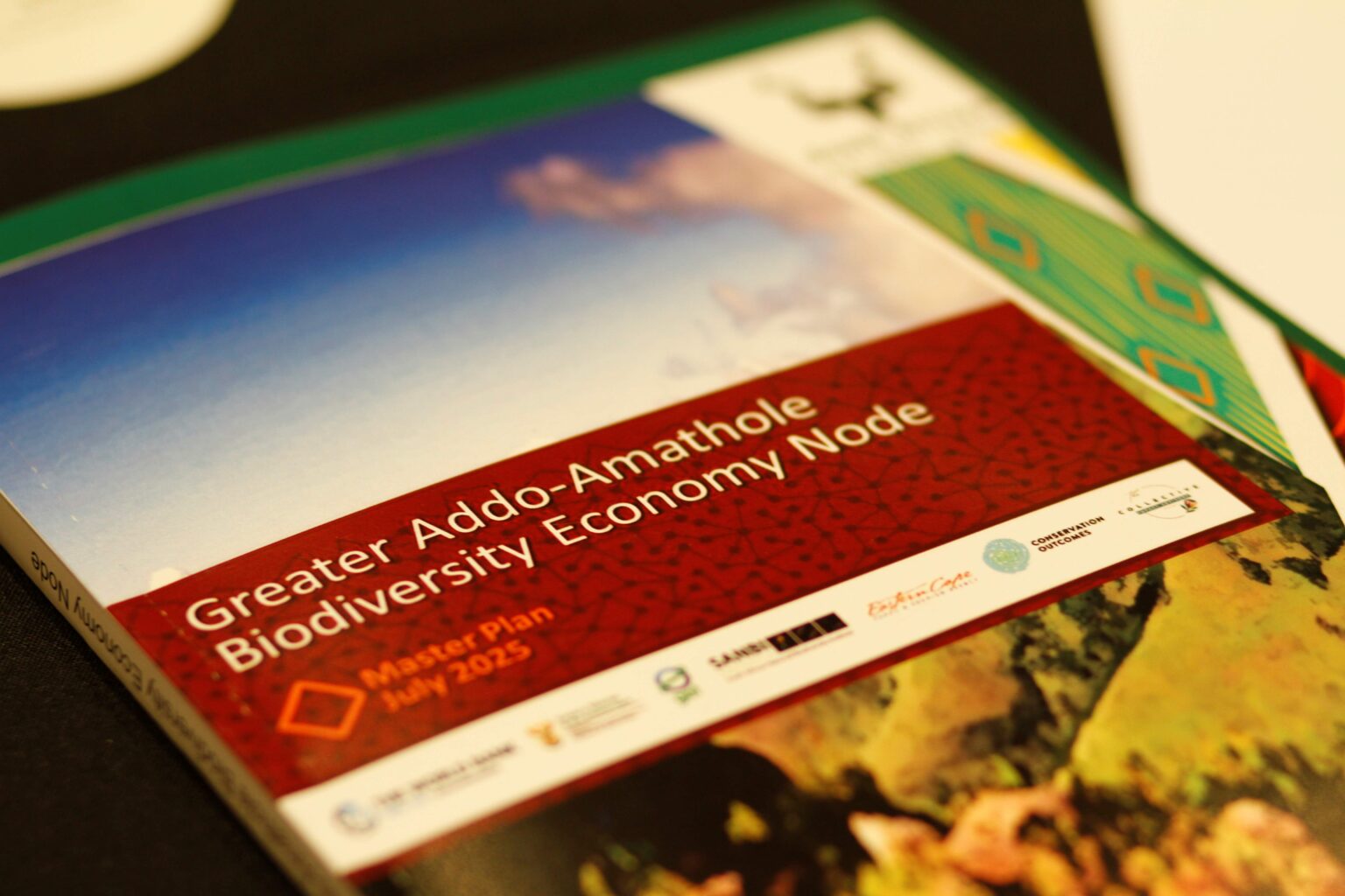 Hero image for a biodiversity economy project website page